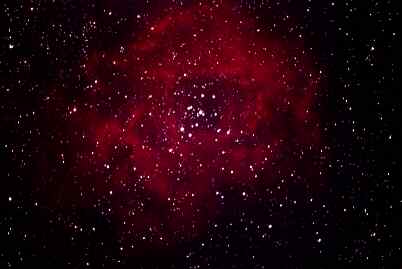 Rosette Nebula by Mike Leitch