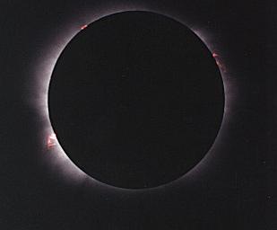 July 11, 1991 Total Solar Eclipse by Steve Fishman